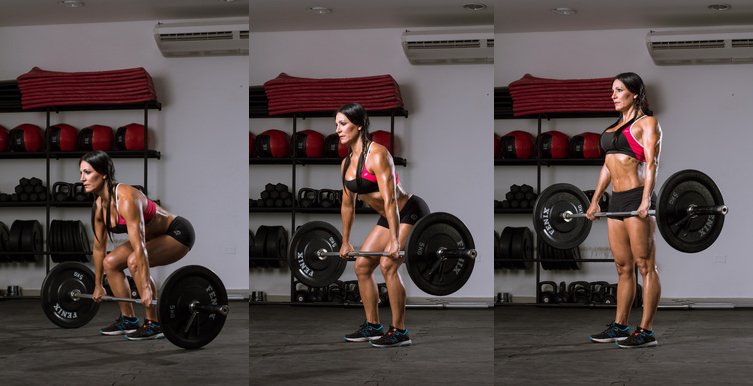 Musculo Facil. Los mejores ejercicios por grupo muscular