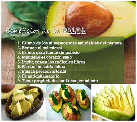 palta-salamanca-entrena-grasas
