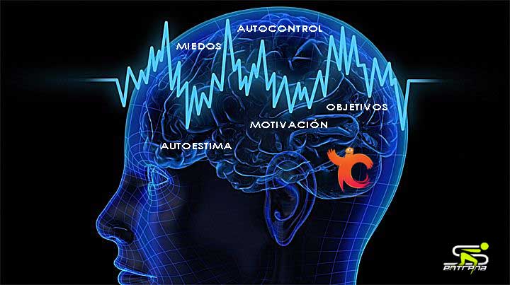 salamanca-entrena-psicologia