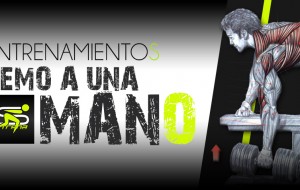 GYM / Remo a una Mano