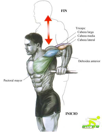 dips-en-salamanca-entrena-fondo